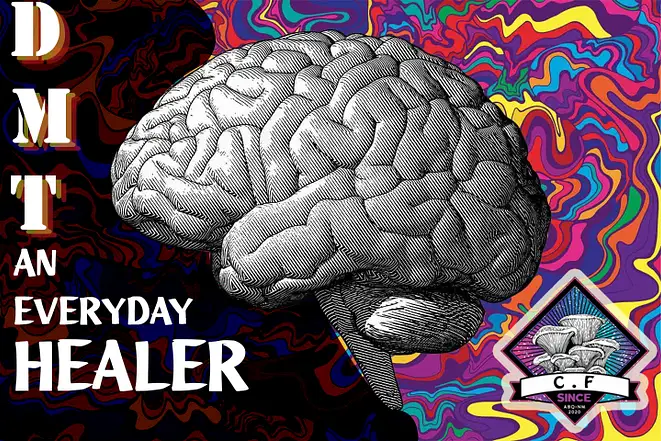 DMT Facts: The Truth About DMT